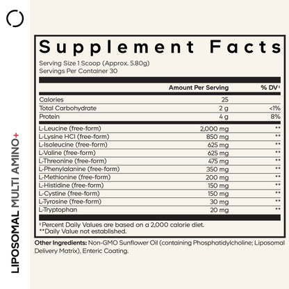 Multi Amino+ Powder, Liposomal EAA + Branched-Chain Amino Acid Powder Supplement, 6.15 Oz