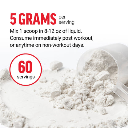 Creatine Monohydrate, Creatine Powder for Muscle Gain, More Strength, and Faster Workout Recovery, Clinically Studied Micronized Creatine 5G Dose per Serving, Unflavored, 60 Servings by