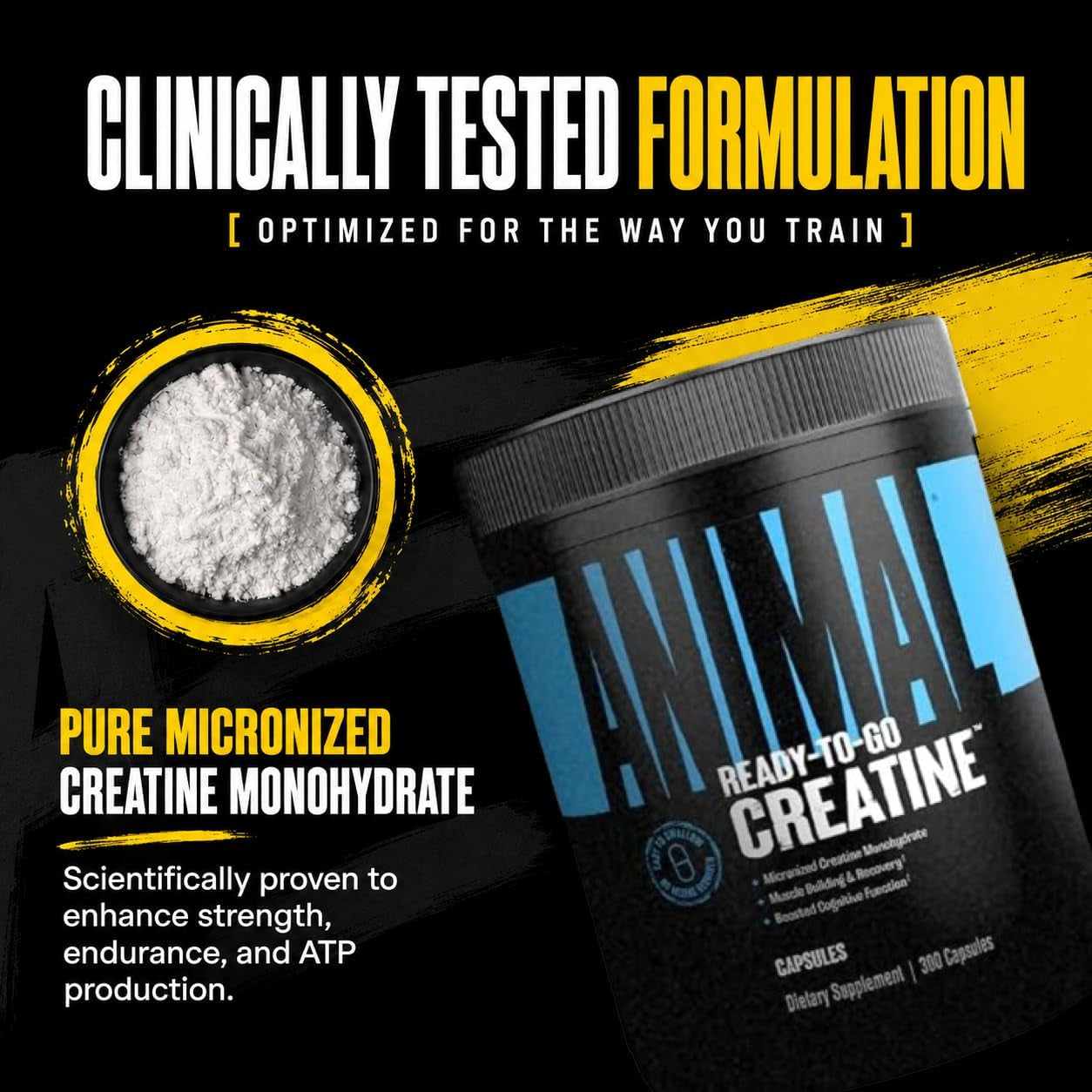 Micronized Creatine Monohydrate Capsules - 300 Caps, 2500Mg per Serving to Support Muscle Growth, Endurance, ATP Production, Cognitive Function, Strength, Recovery, and Delay Muscle Fatigue