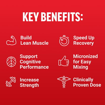 Creatine Monohydrate, Creatine Powder for Muscle Gain, More Strength, and Faster Workout Recovery, Clinically Studied Micronized Creatine 5G Dose per Serving, Unflavored, 60 Servings by