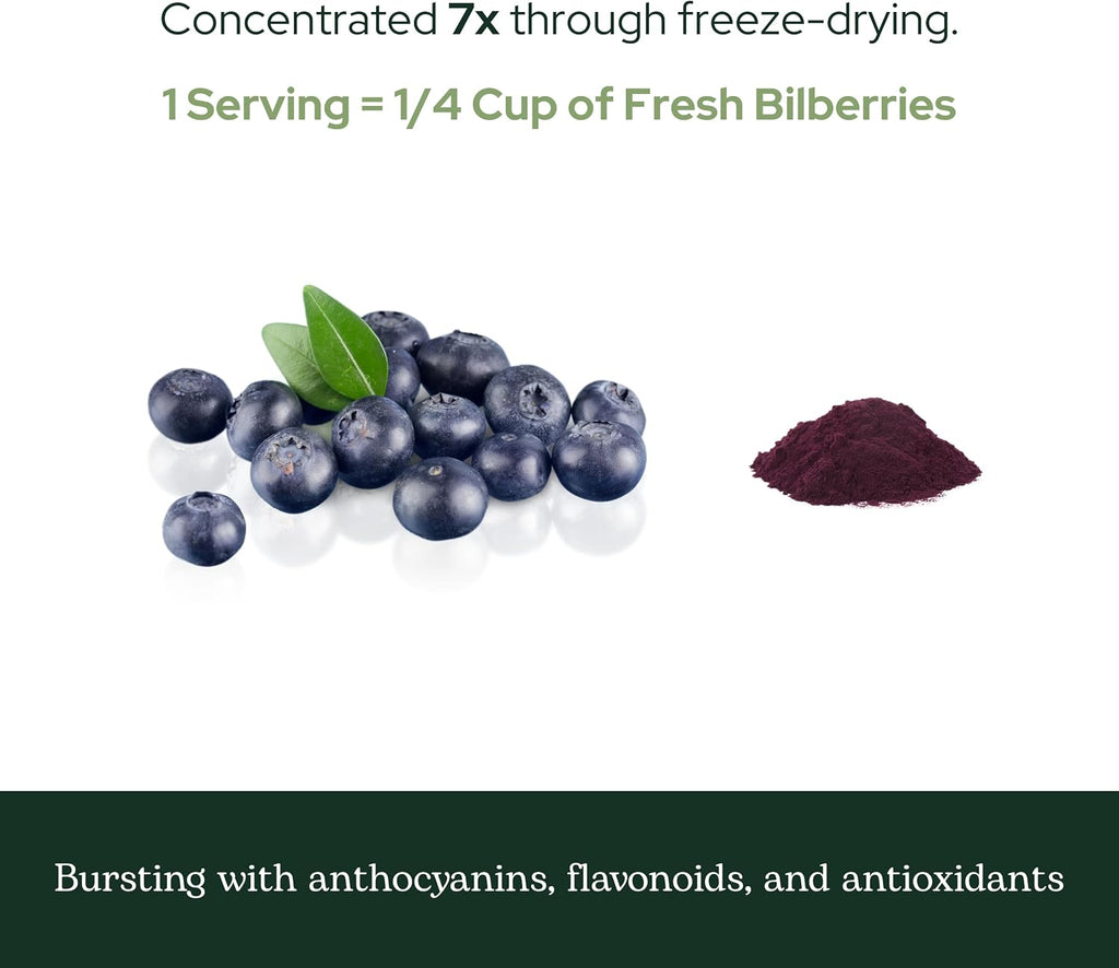 Eclectic Herb - Bilberry Powder Supplement | Vision Health, Cardiovascular Support & Circulation | Superfood Vitamin & Mineral Supplement | Freeze Dried, Vegan, Non-Gmo, Gluten Free (3.2 Oz | 90 G)