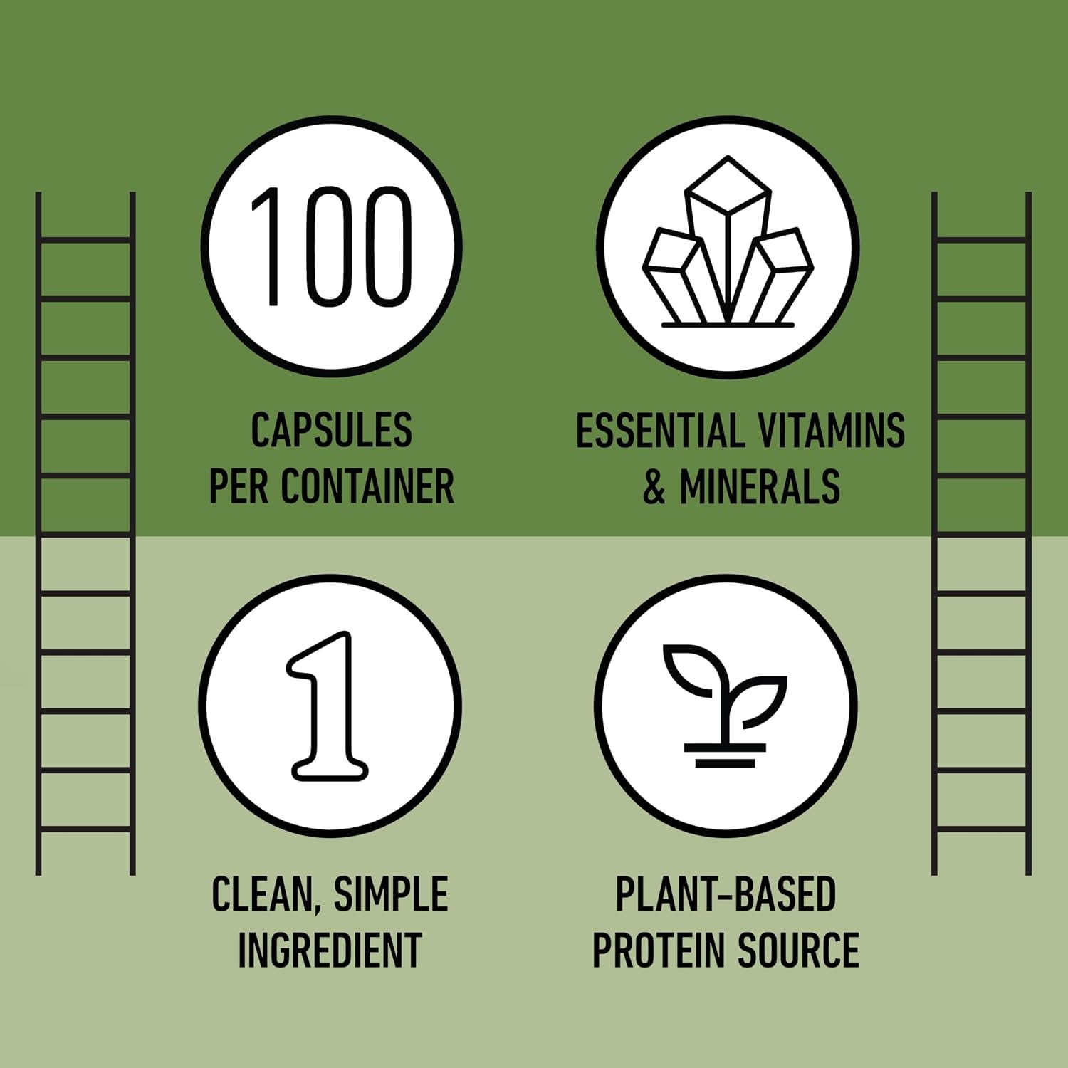 Organic Chlorella Capsules, 500Mg, 100Ct, Pure Green Algae Superfood, Detox & Immune Support, Vitamin B12 & Chlorophyll Rich, Plant-Based, Vegan, Non-Gmo