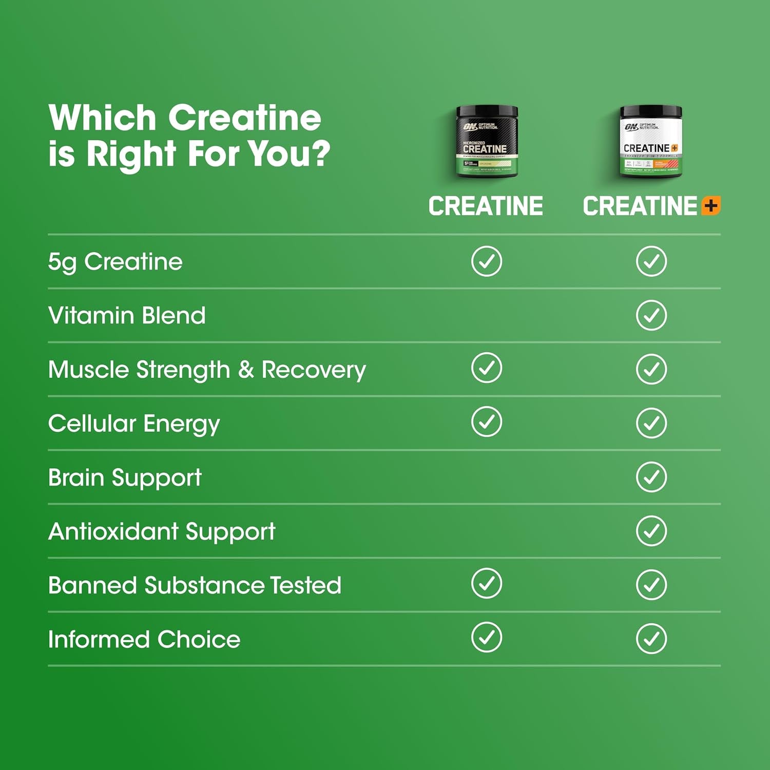 Creatine Monohydrate plus Powder, Orange Passionfruit Flavored Creatine Performance Blend with Electrolytes for Hydration, Added Vitamins, 40 Servings, 360 Grams (Packaging May Vary) | Monohydrate Creatine Performance Blend, with Electrolytes for Hydration, Added Vitamins, Supports Energy and Muscle Recovery