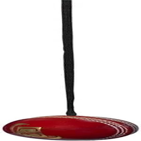 Cricket Practice Ball Attached with String for Knocking and Middling Cricket Batting Drives