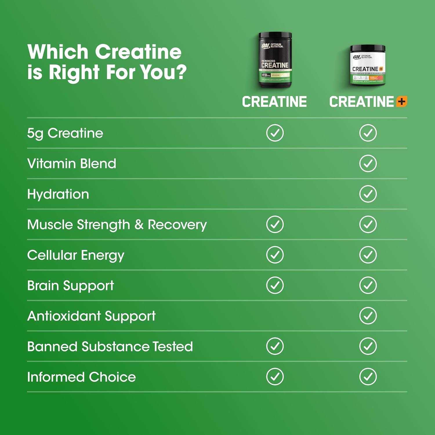 Creatine, Micronized Creatine Monohydrate Powder, Supports Strength & Recovery, Banned Substance Tested, Unflavored, 5 G per Serving, 120 Servings | 5G Micronized Creatine Monohydrate Powder per Serving, Supports Muscle Strength & Power, Easy Mixing, Banned Substance Tested