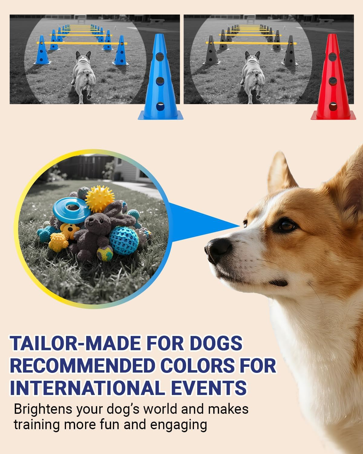 Dog Agility Course Backyard Set, Dog Agility Hurdle Cone Set with Height Adjustable Crossbar for Rehabilitation & Beginners, Dog Agility Equipment for Dog Obstacle Course - 12 Inch