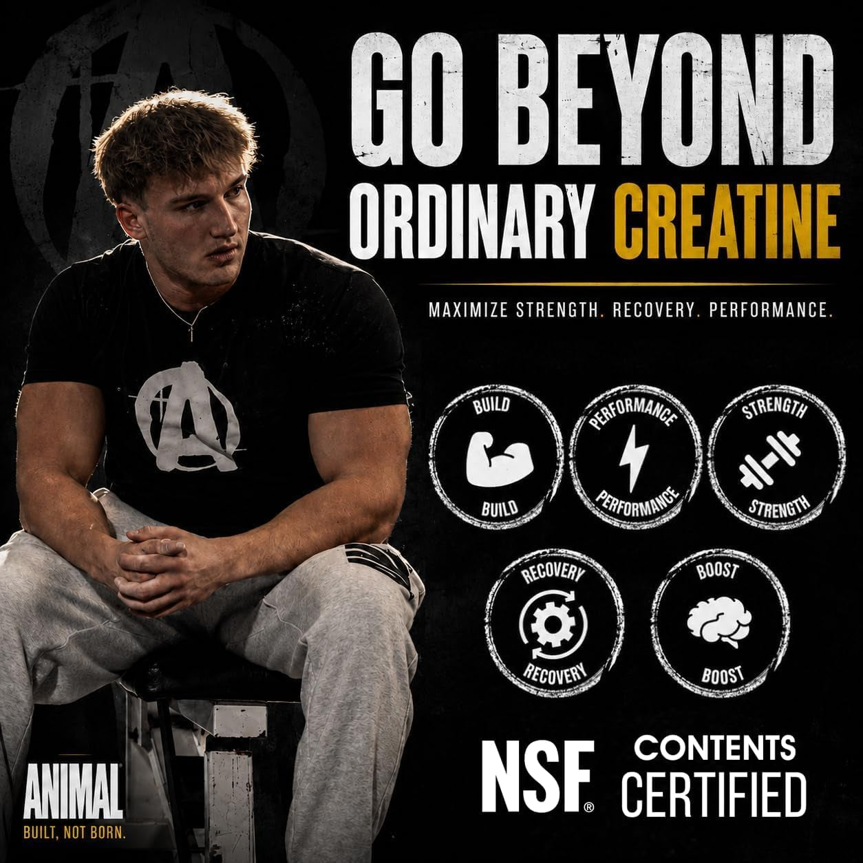 Micronized Creatine Monohydrate Capsules - 300 Caps, 2500Mg per Serving to Support Muscle Growth, Endurance, ATP Production, Cognitive Function, Strength, Recovery, and Delay Muscle Fatigue