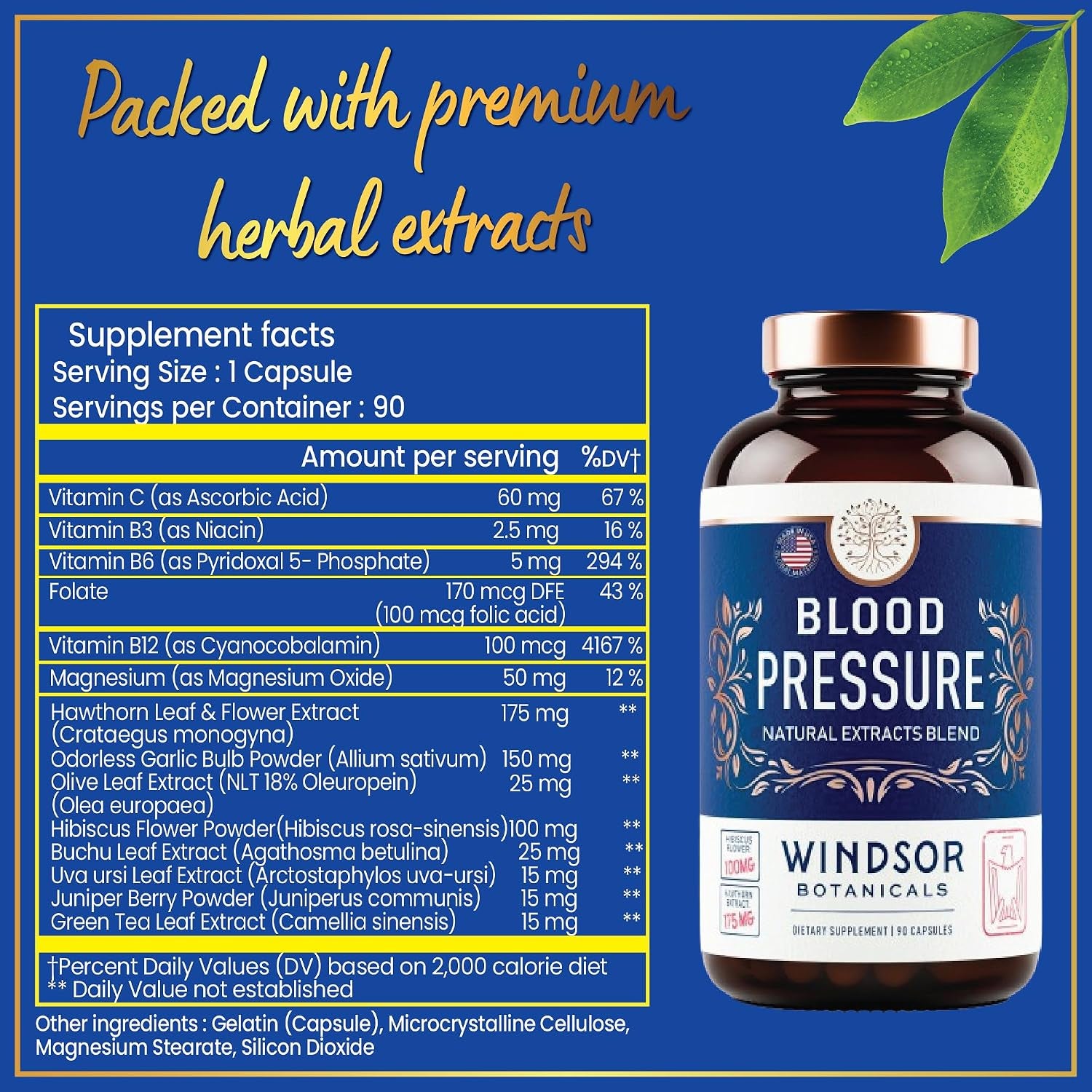 Blood Pressure Support Supplement - Green Tea, Hibiscus, Hawthorn, Garlic - Blood Pressure Vitamin, Mineral and Activated Naturals - 3 Month Supply, 90 Capsules