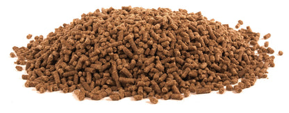 ® Equine Electrolyte Plus, 5 Lb