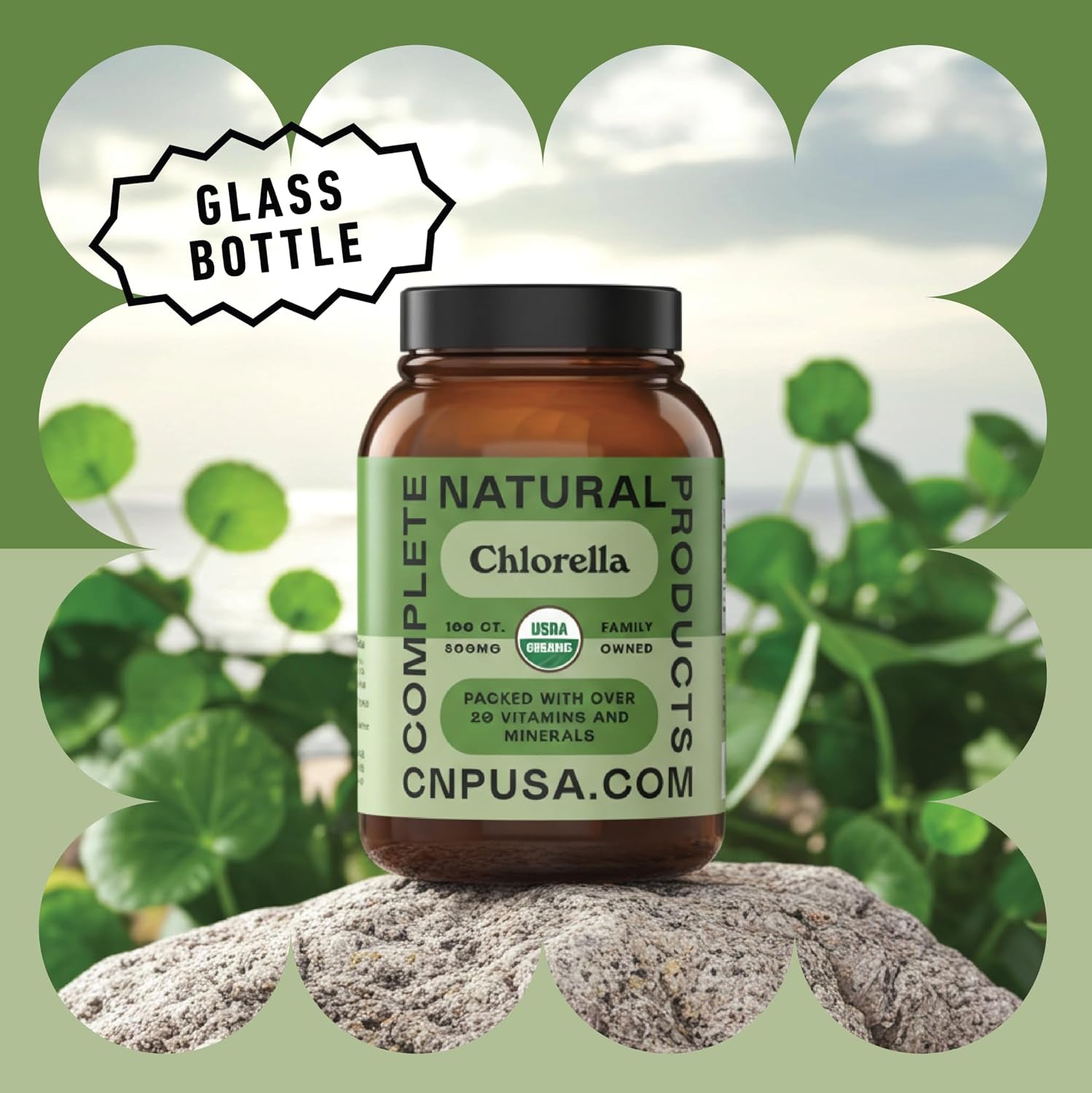 Organic Chlorella Capsules, 500Mg, 100Ct, Pure Green Algae Superfood, Detox & Immune Support, Vitamin B12 & Chlorophyll Rich, Plant-Based, Vegan, Non-Gmo