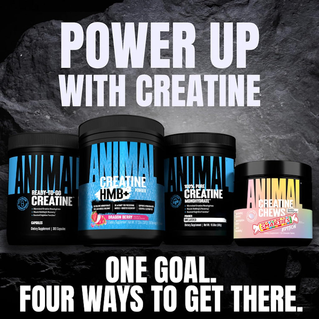 Micronized Creatine Monohydrate Capsules - 300 Caps, 2500Mg per Serving to Support Muscle Growth, Endurance, ATP Production, Cognitive Function, Strength, Recovery, and Delay Muscle Fatigue