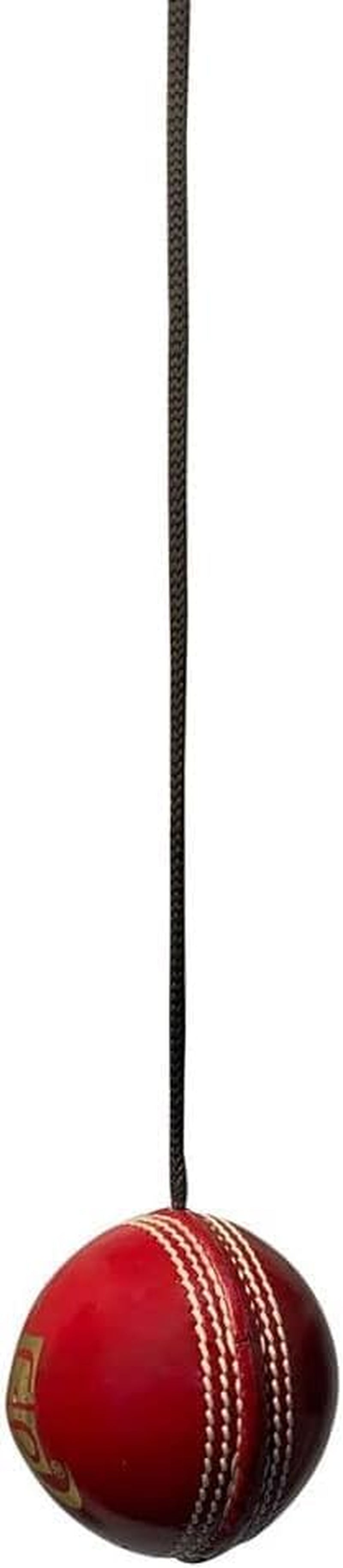 Cricket Practice Ball Attached with String for Knocking and Middling Cricket Batting Drives