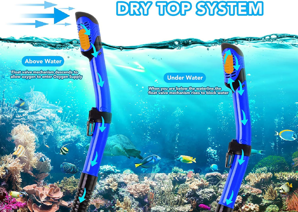 Snorkeling Gear for Adults with Bag Anti-Fog Snorkel Sets for Travel | Anti-Leak Diving Mask with Flippers,Professional Scuba Diving Gear with Earplugs